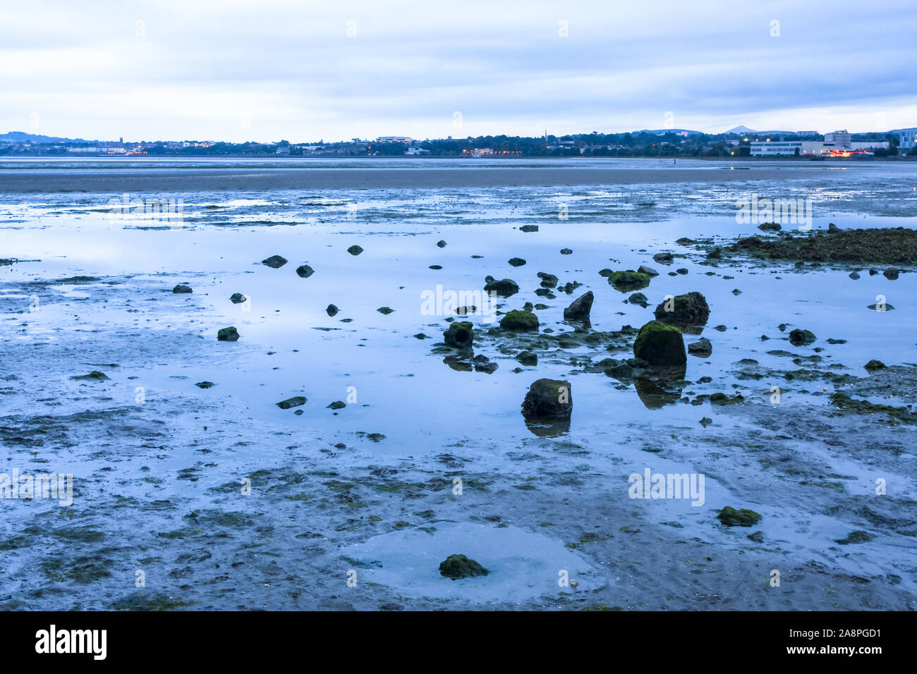 Low tide at Sandymount Strand beach, evening light, clouds reflected in water pools. Dublin Ireland. Irish sea tide out Stock Photo