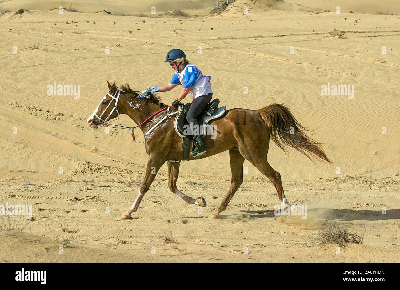 FEI UAE Endurance World Cup CEI **** 130Km, 2002, Valerie Kanavy (USA) riding Bearcat O'Reilly Stock Photo