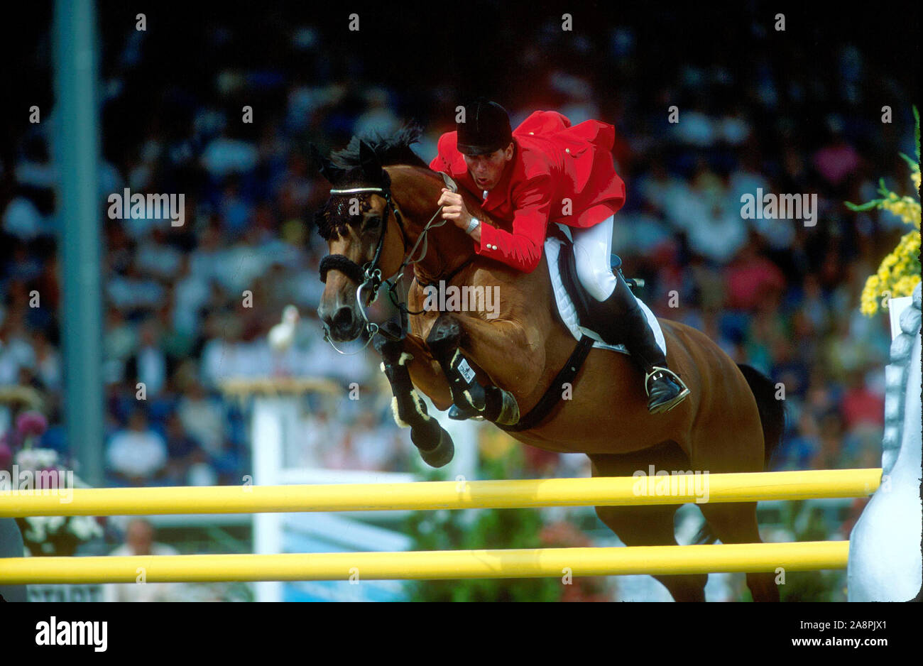 World Equestrian Games, The Hague, 1994, Ludger Beerbaum (GER) riding Almox Ratina Z Stock Photo