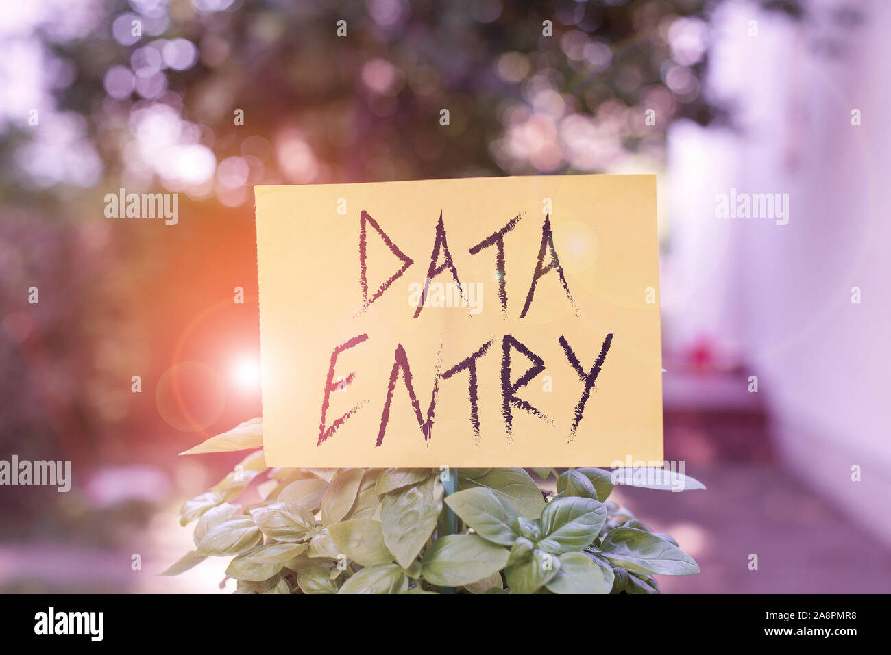 Handwriting text writing Data Entry. Conceptual photo process of ...