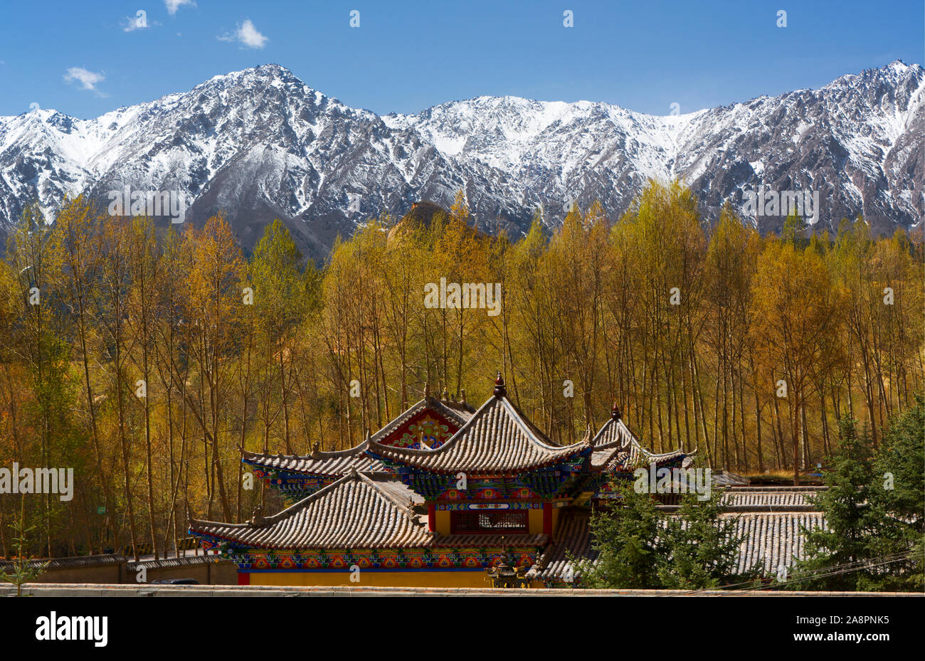 The buddhist monastery at Mati Si nested below the snowcapped Qilian Mountains, Gansu, China Stock Photo