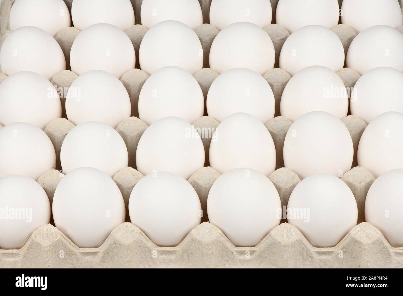 https://c8.alamy.com/comp/2A8PNR4/tray-of-eggs-isolated-on-white-background-high-resolution-photo-full-depth-of-field-2A8PNR4.jpg