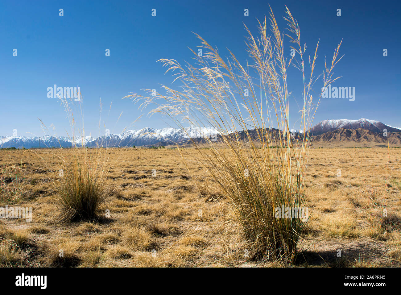 The Qilian Mountain seen from a vast steppe near Zhangye, China Stock Photo