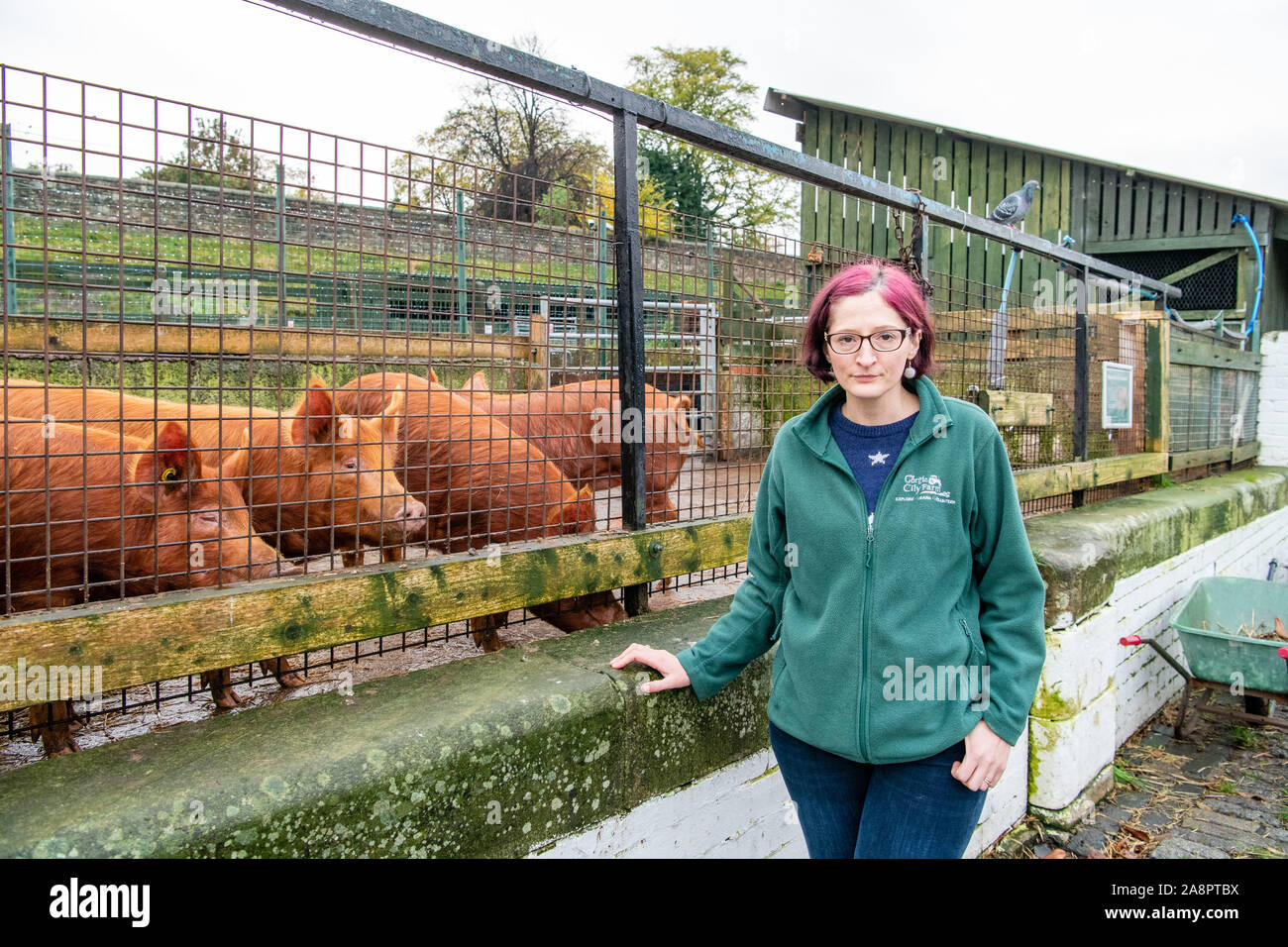 Closure of Gorgie City Farm which has gone into administration. Pictured Head fundraiser Gail Vancker Stock Photo