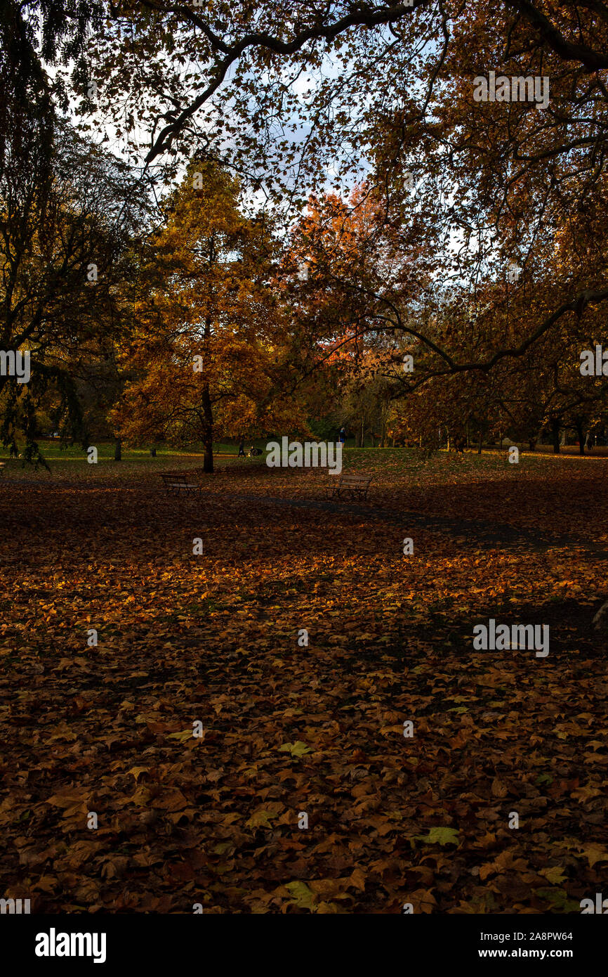 View of fallen leaves and autumnal colours in Battersea Park, London. Stock Photo