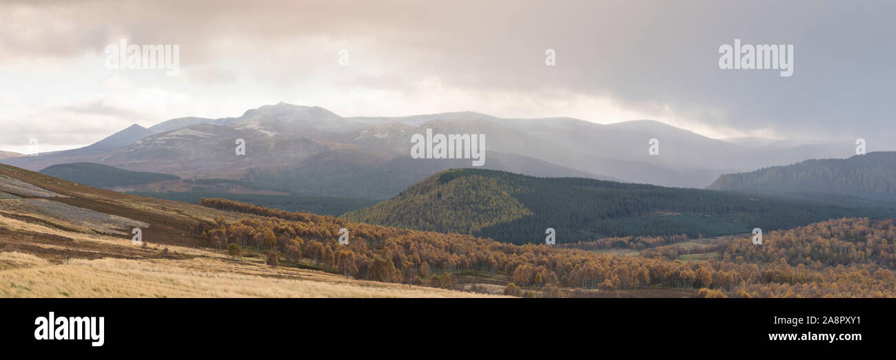 There's an Early Dusting of Snow on Lochnagar in Late Autumn but the Birches in Glen Feardar Still Retain Their Autumn Foliage Stock Photo
