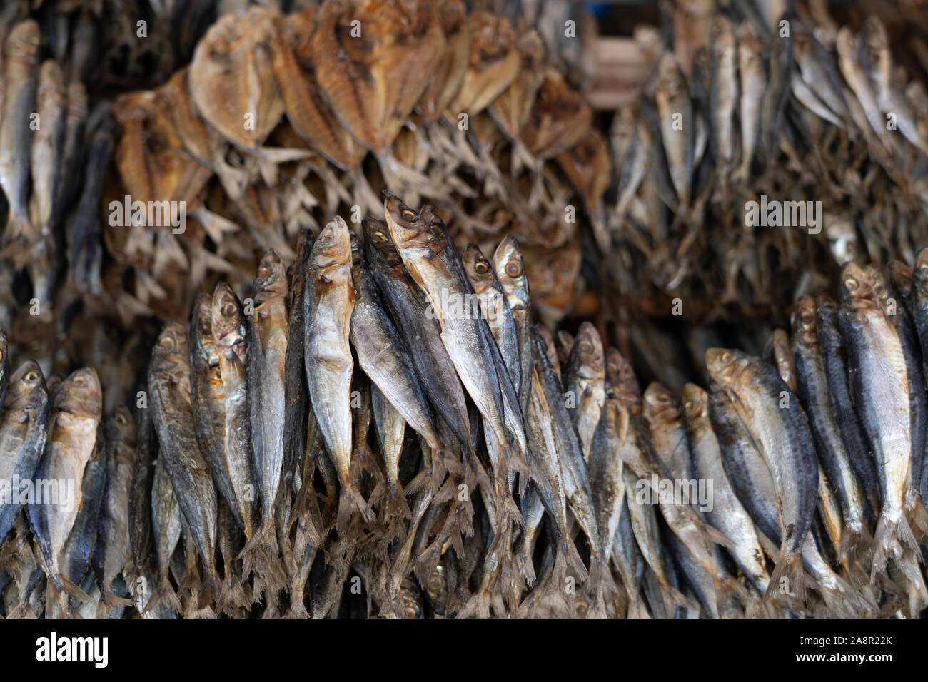 Buwad hires stock photography and images Alamy