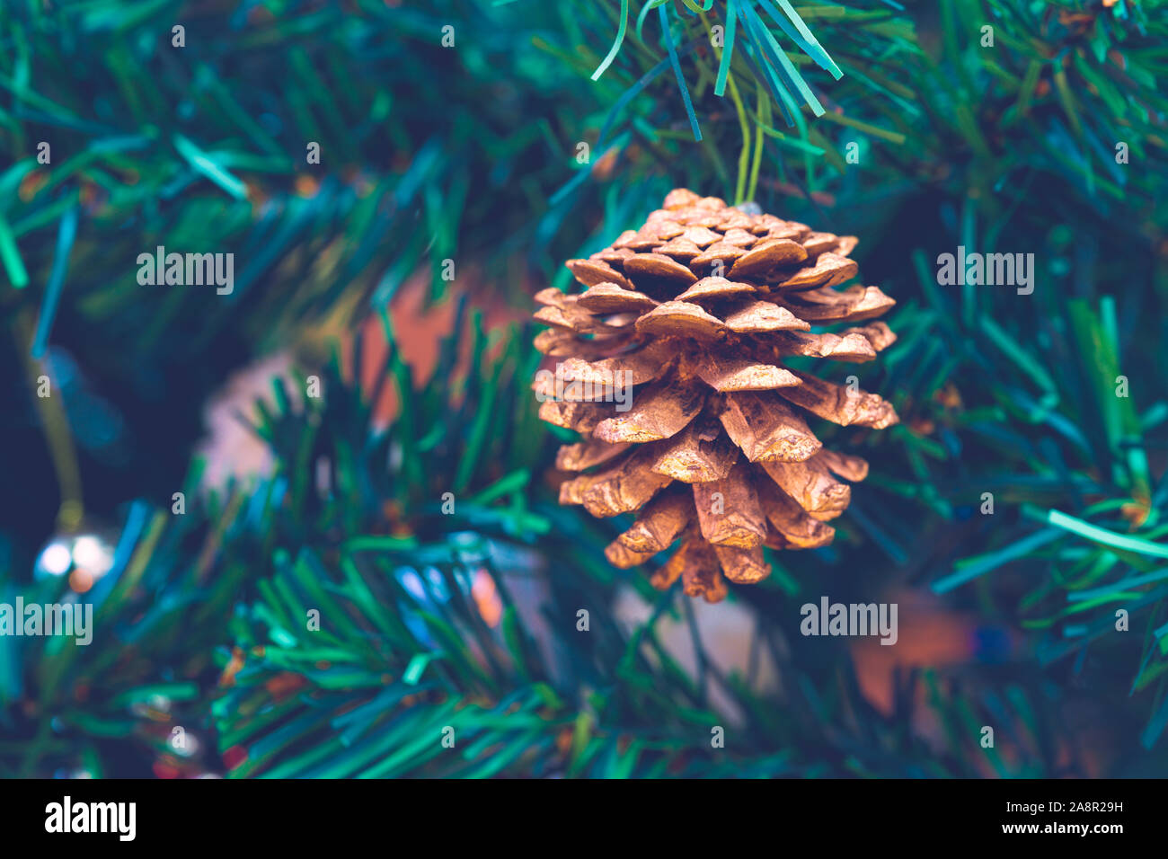 Pine cone on a christmas tree. Christmas concept. Stock Photo