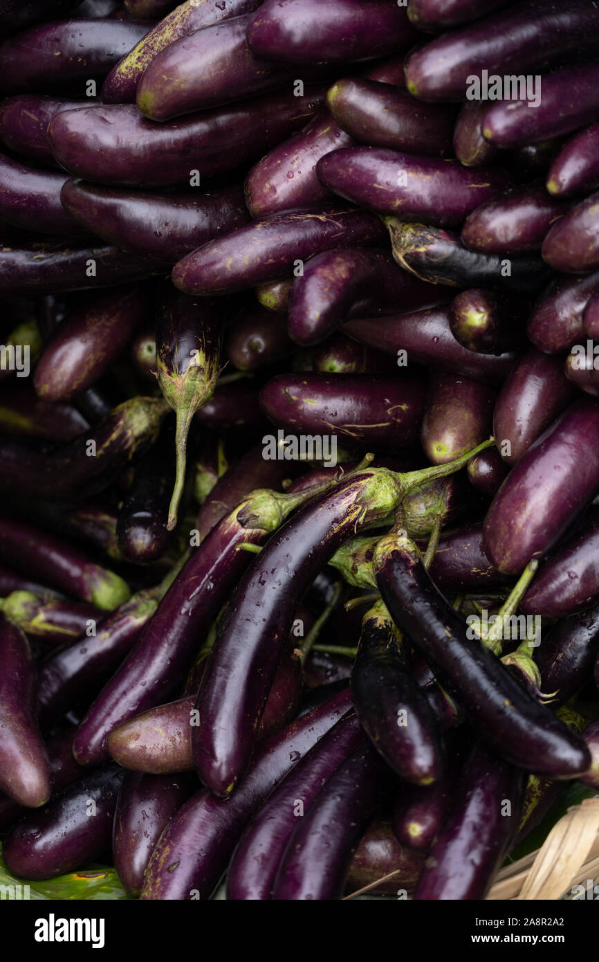 One of the most widely used vegetables in the Philippines is the