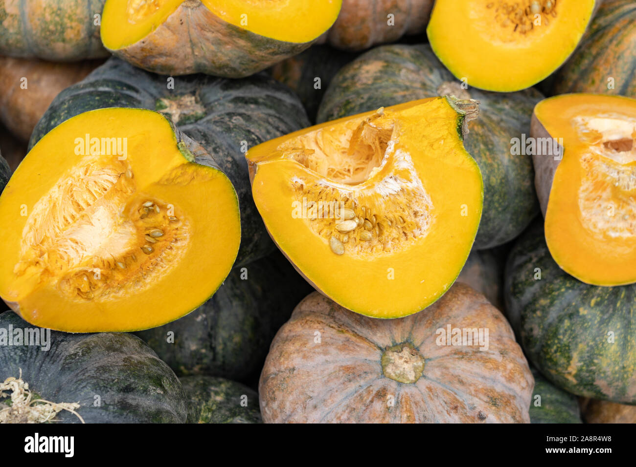 A squash popular in the Philippines generally used as an ingredient  in a variety of soups and stews Stock Photo