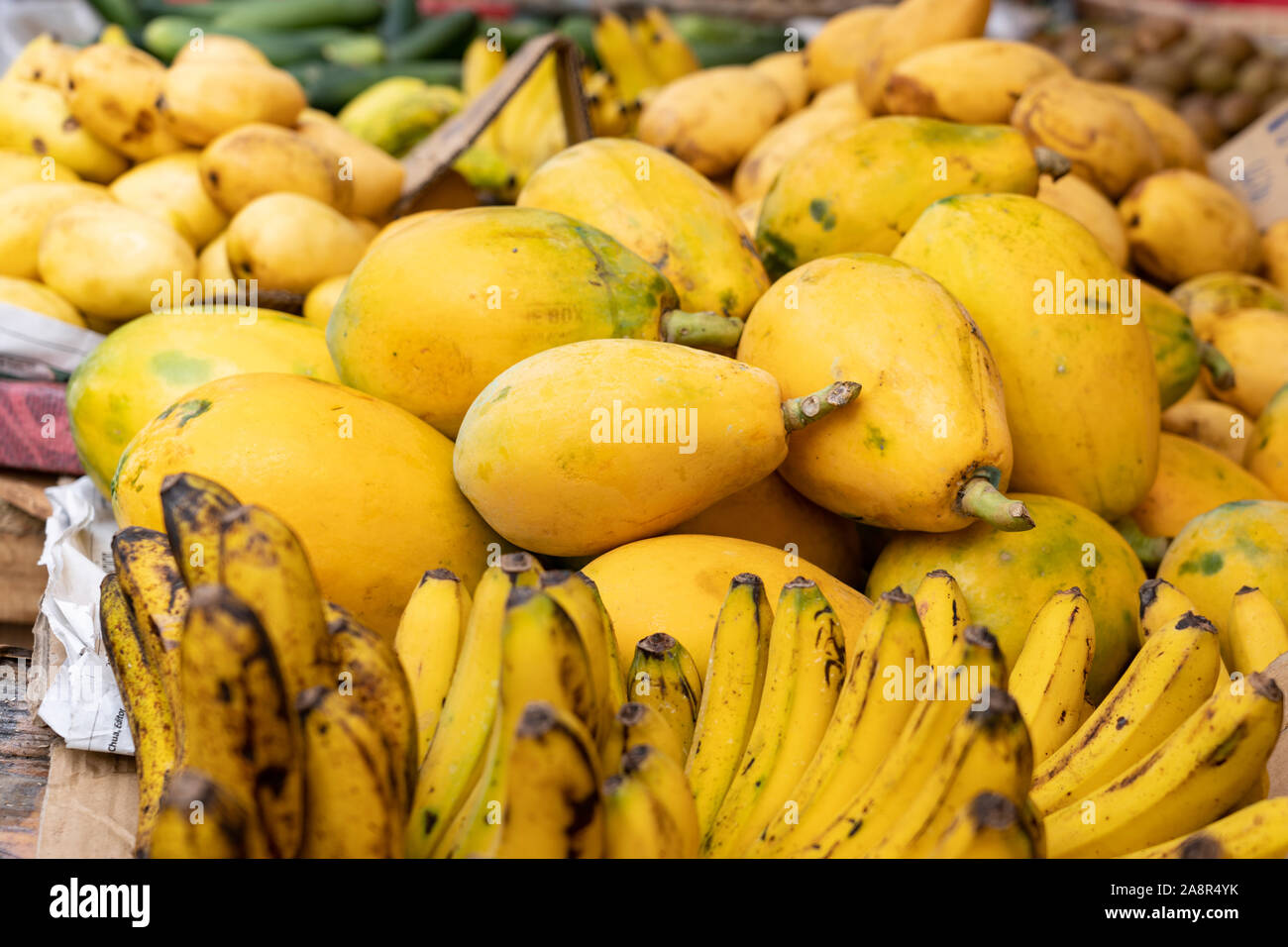 Papaya for sale hires stock photography and images Alamy