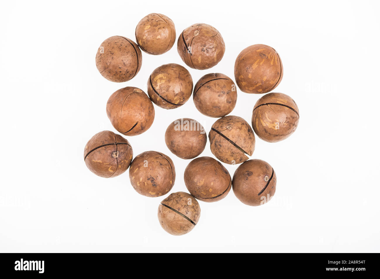 top view of Macadamia nuts scattered isolated on white Stock Photo