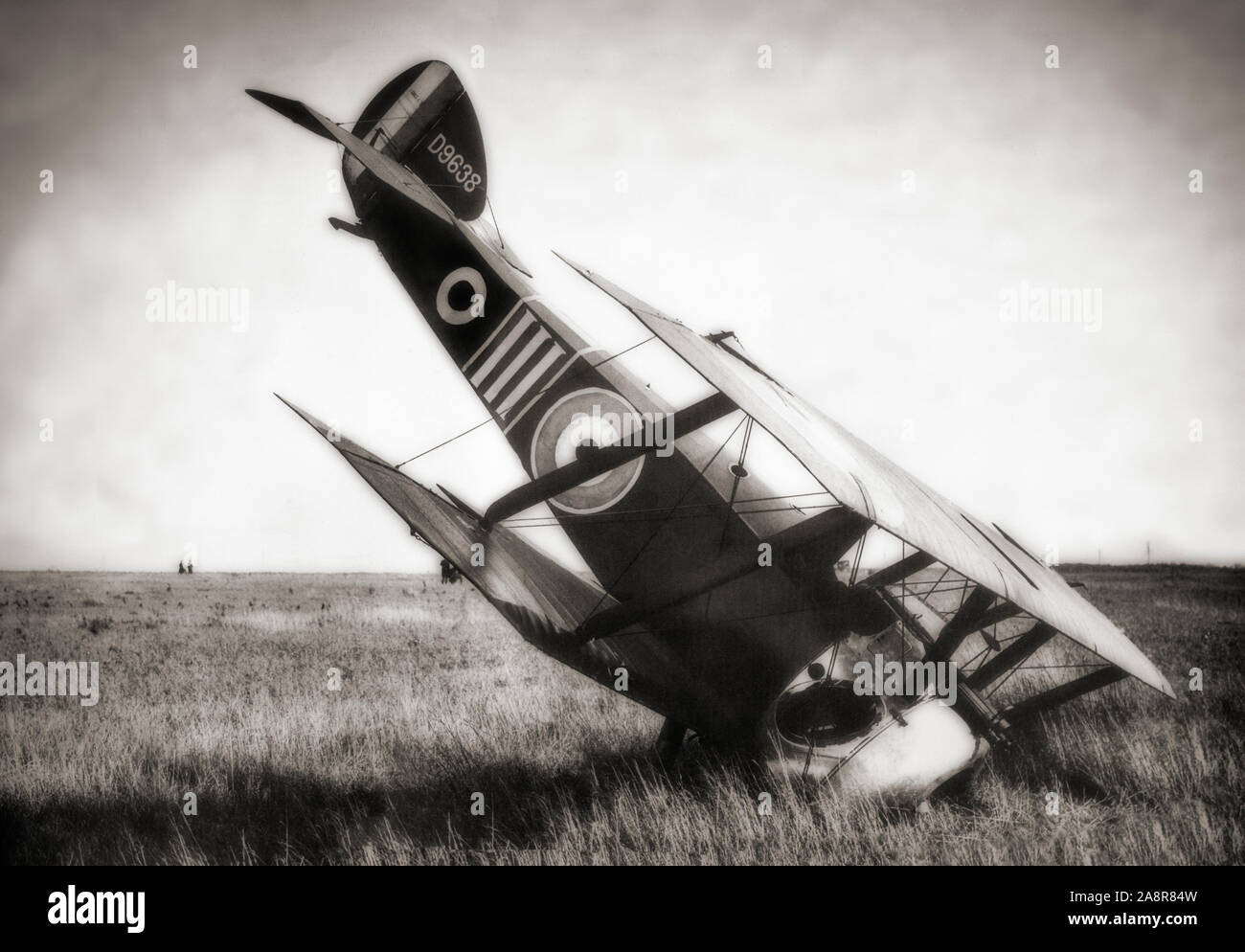 A Sopwith Camel after a forced landing. The British First World War single-seat biplane fighter aircraft was introduced on the Western Front in 1917. It was powered by a single rotary engine and was armed with twin synchronized Vickers machine guns. Though proving difficult to handle, it provided for a high level of manoeuvrability to an experienced pilot, an attribute which was highly valued in the type's principal use as a fighter aircraft. In total, Camel pilots have been credited with downing 1,294 enemy aircraft, more than any other Allied fighter of the conflict. Stock Photo