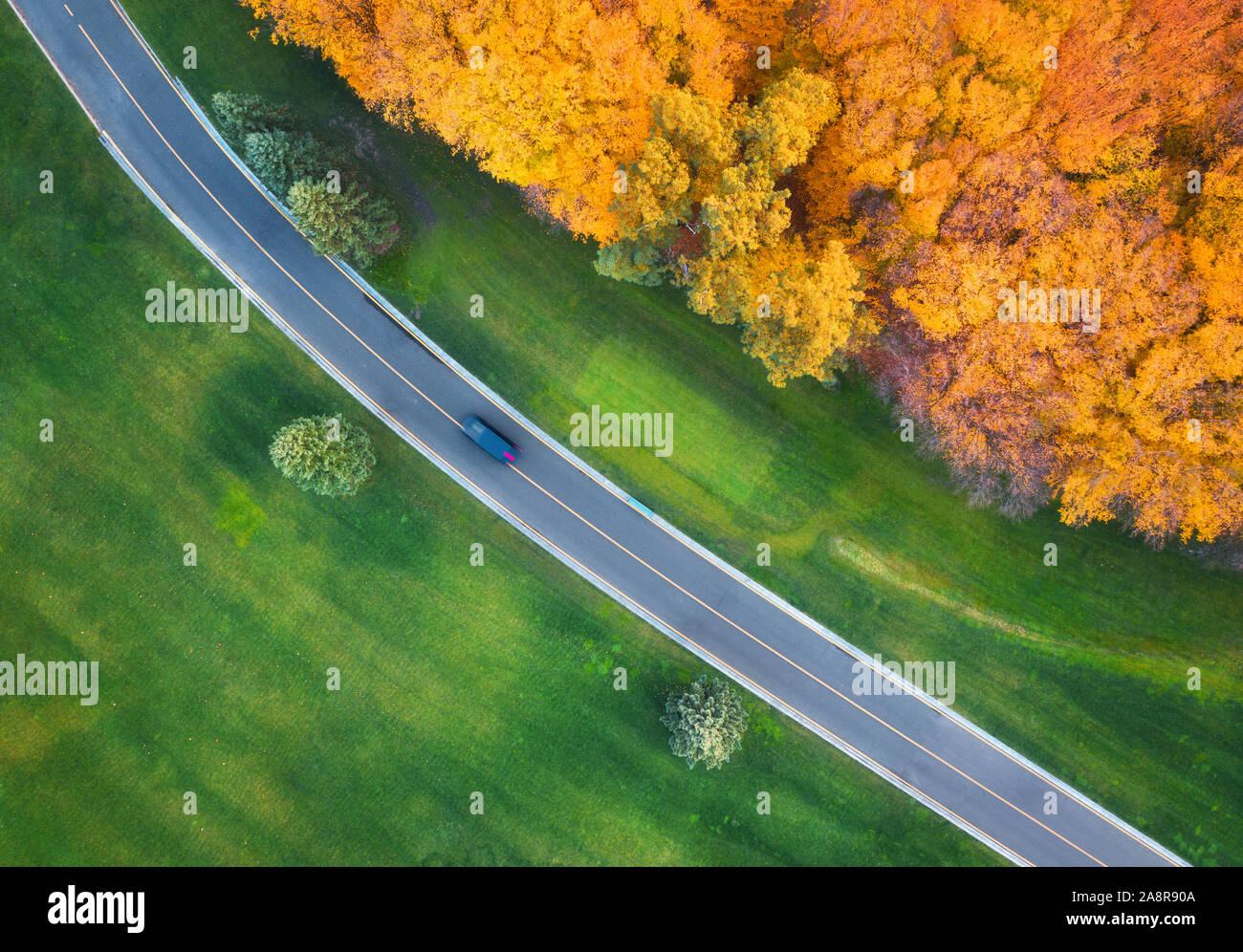 Aerial view of road through green field and forest at sunset Stock Photo