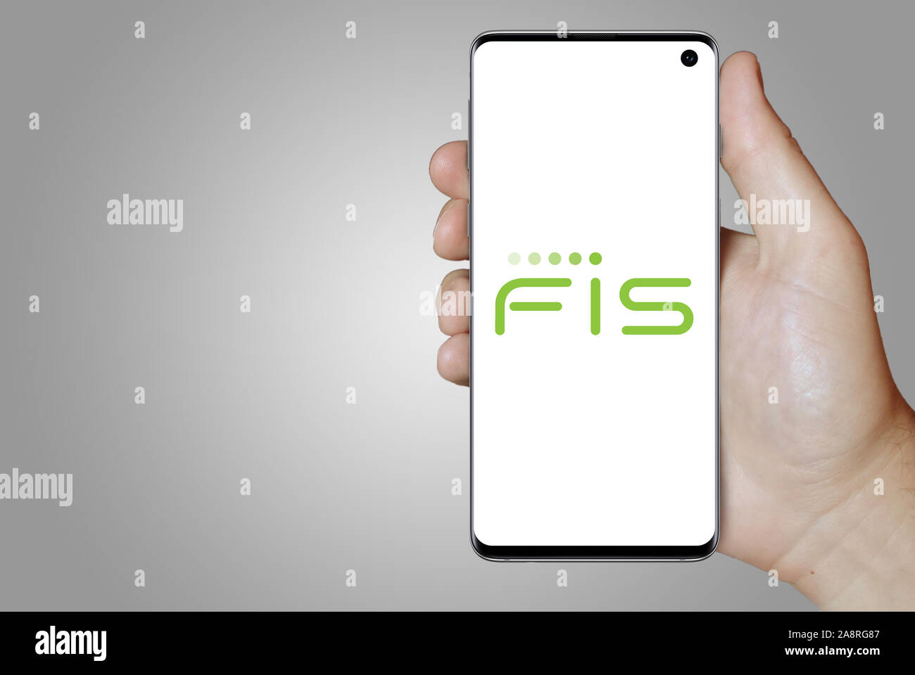 Logo of public company Fidelity National Information Services displayed on a smartphone. Grey background. Credit: PIXDUCE Stock Photo