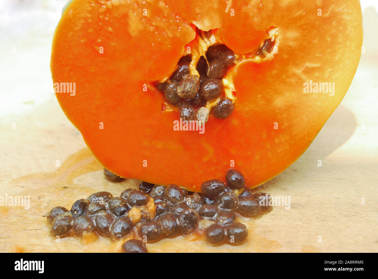 Propagation of papaya seeds by seed.Thai papaya seeds Stock Photo Alamy