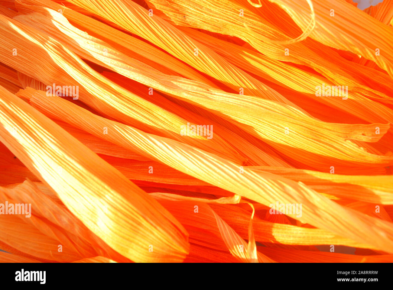 Dried corn husk dyed in dark orange. For making krathong Stock Photo