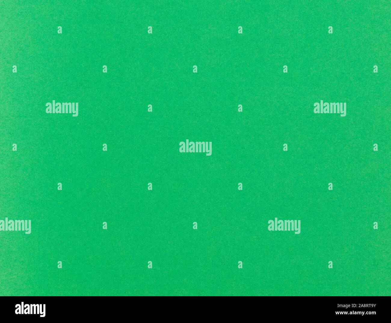 Green background for the Christmas season