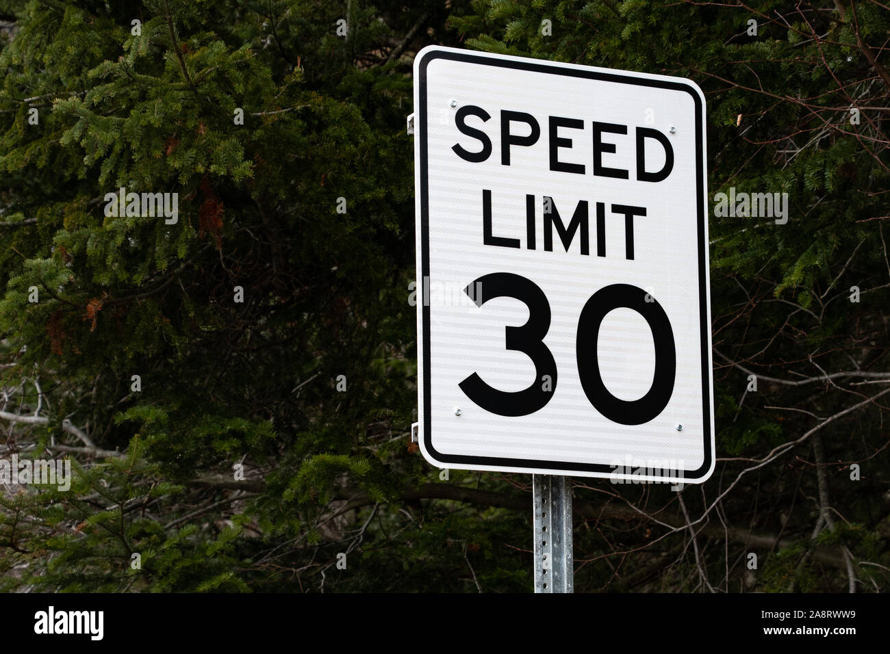 A white speed limit 30 miles per hour sign with a dark green evergreen tree background on a street in Speculator, NY USA Stock Photo