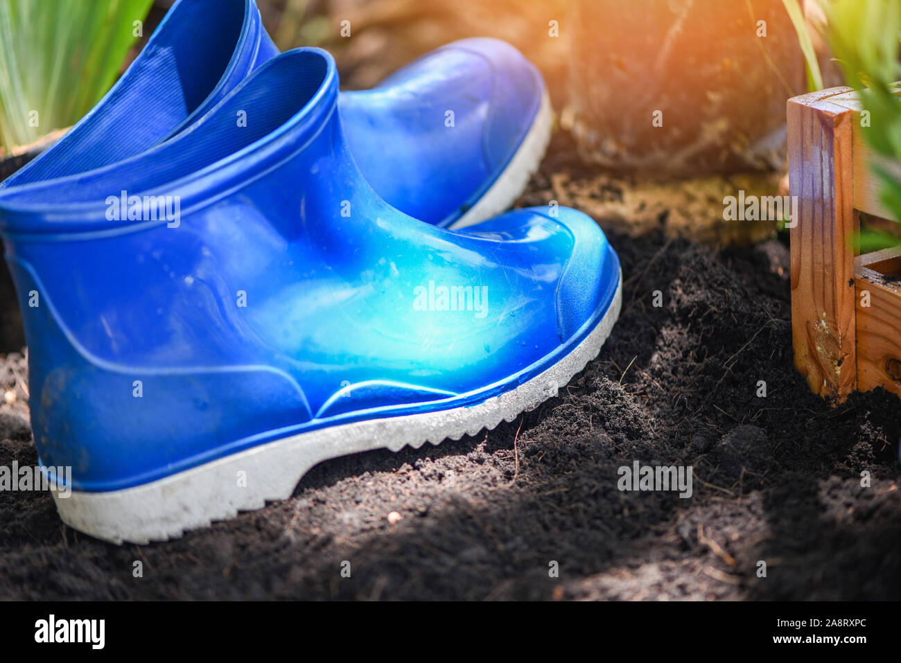 Gardening tools with rubber boot garden equipment at back yard on soil