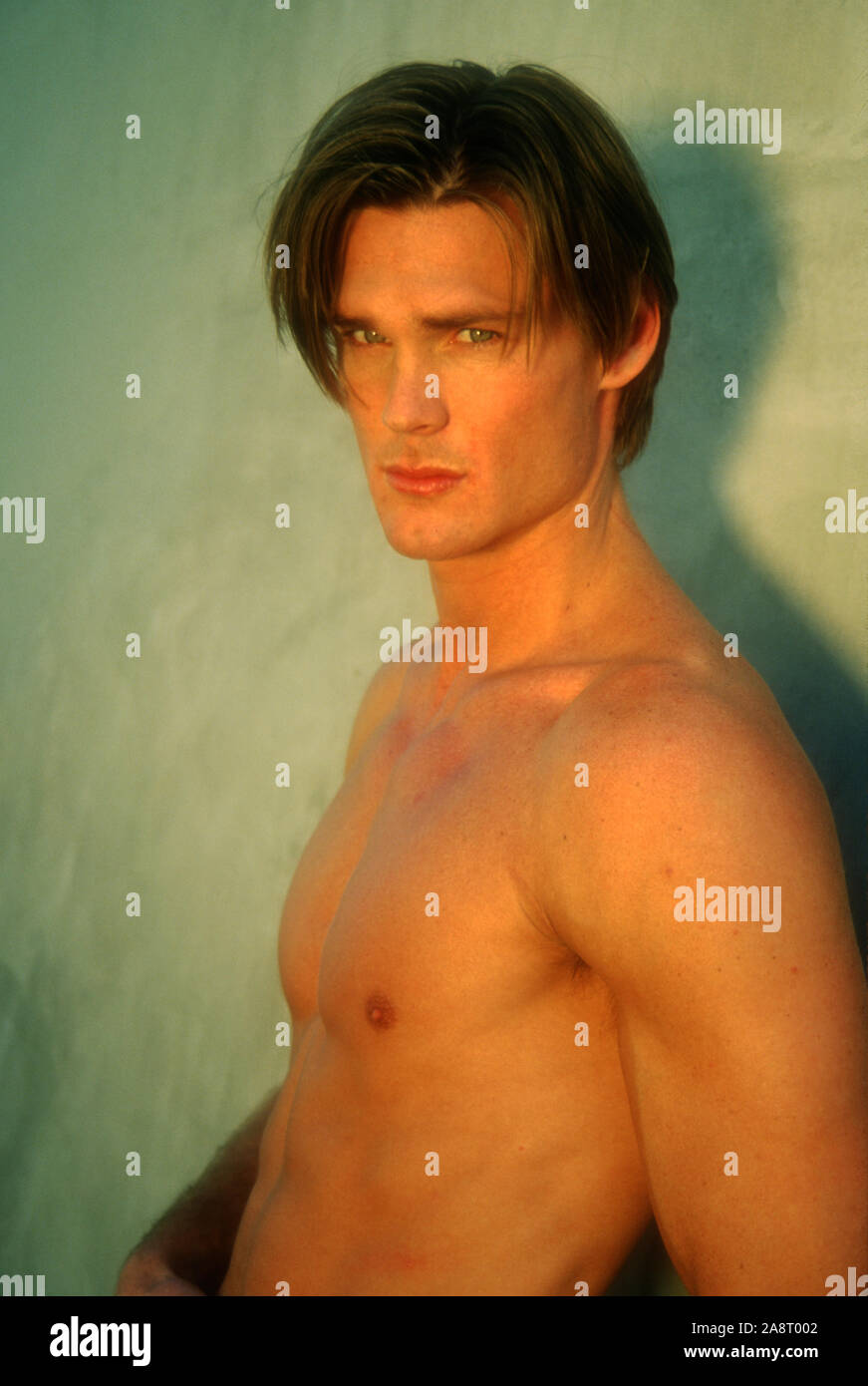 David Roh Model Los Angeles, California, USA 8th March 1995 (Exclusive) Actor/model ...