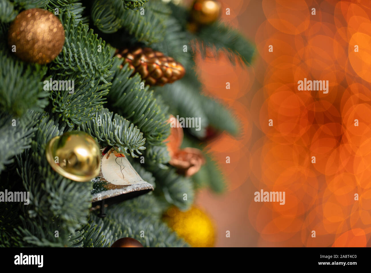 Beautiful Christmas Tree Preparation For Holidays Concept Flower