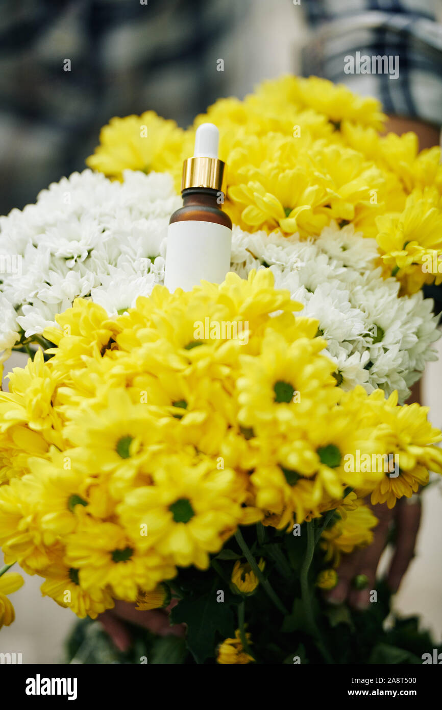 Download Small Glass Bottle Of Essential Oil On Bouquet Of White And Yellow Flowers Stock Photo Alamy Yellowimages Mockups