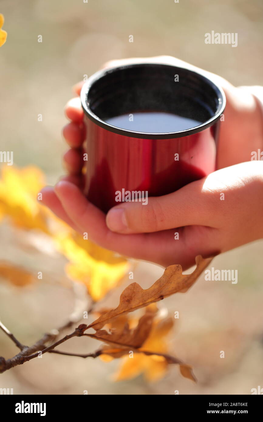 Children's hands hold a red mug with tea in the autumn park Stock Photo
