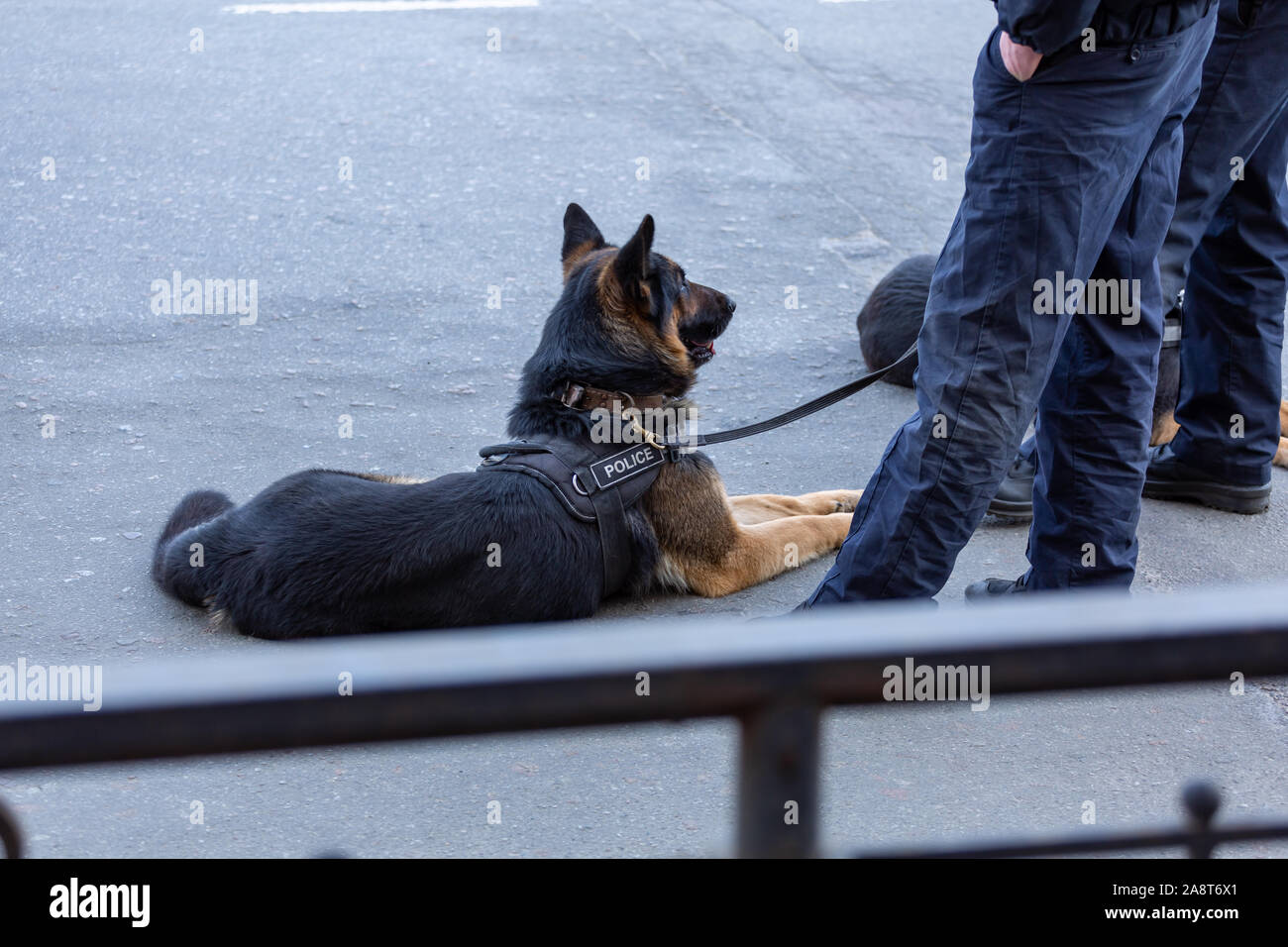 German Department Bust Hi Res Stock Photography And Images Alamy