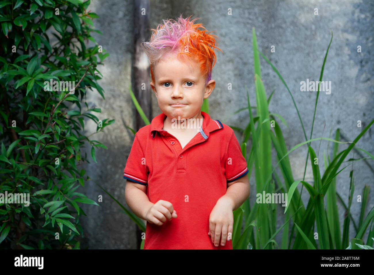 Funny portrait of boy with messy hairstyle. Crazy hipster kid. Stylish boy  with painted colorful hair. Happy children having fun, celebrating at party  Stock Photo - Alamy