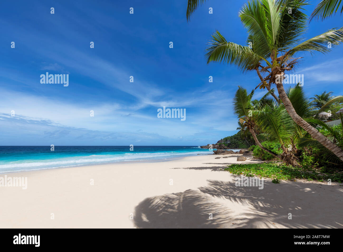 Cancun beach mexico palm trees hi-res stock photography and images - Alamy