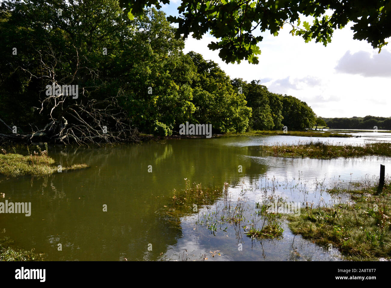 River Hamble Country Park, Bursledon, near Southampton, Hampshire, UK Stock Photo