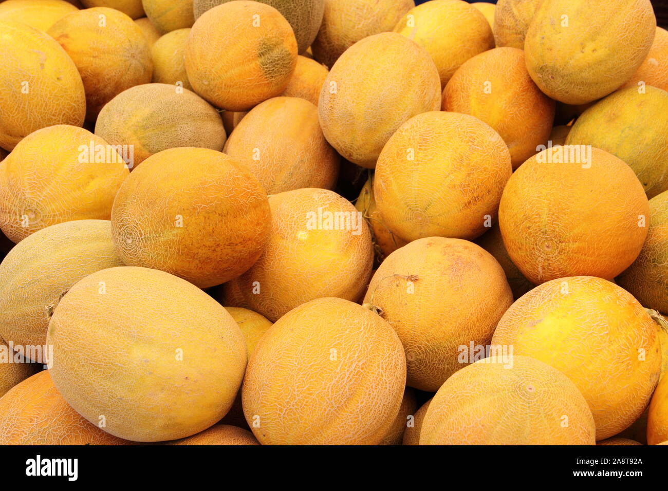 Group honey melon hires stock photography and images Alamy