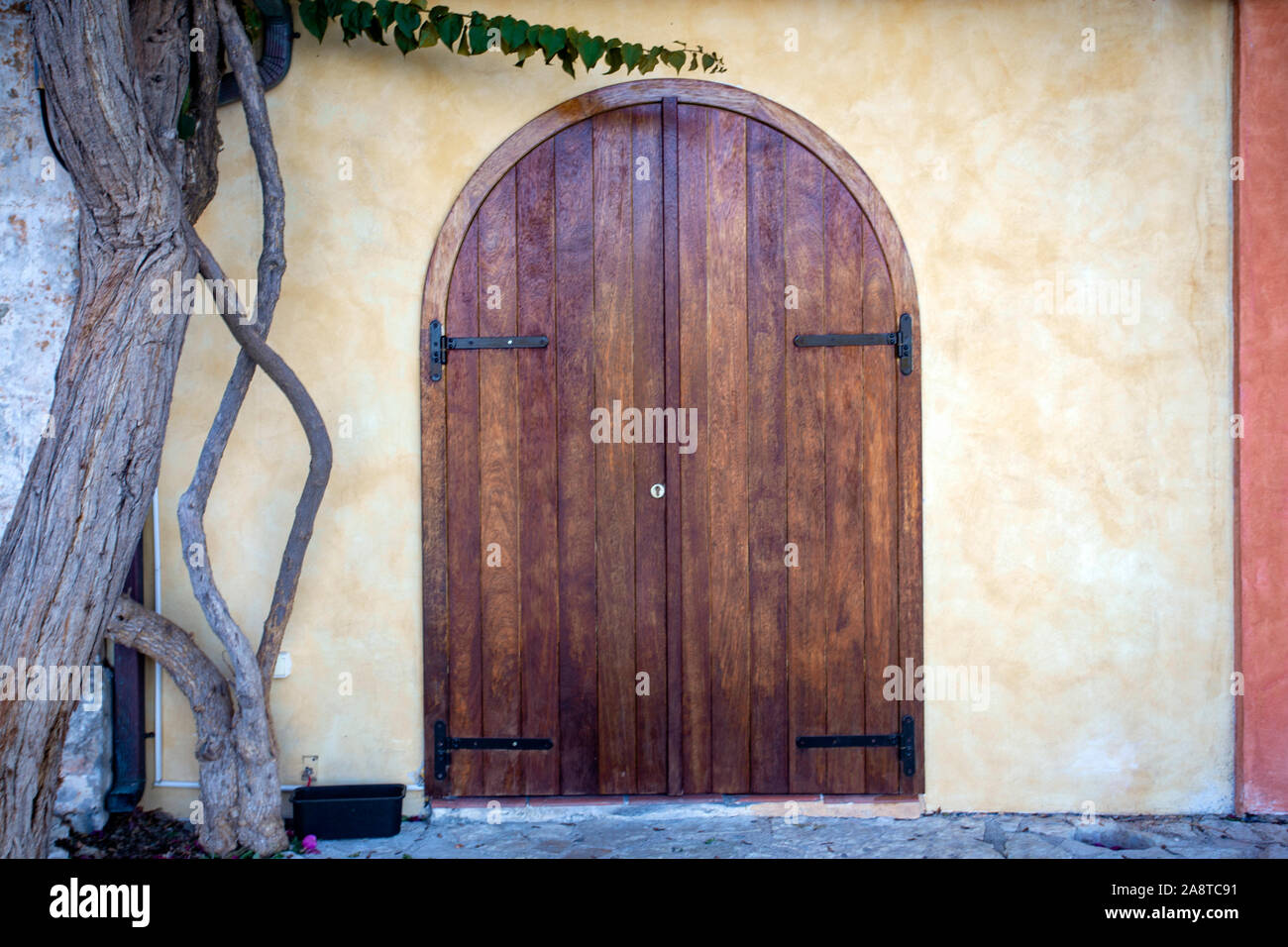 Beautiful old wooden door, near a tree grows Stock Photo