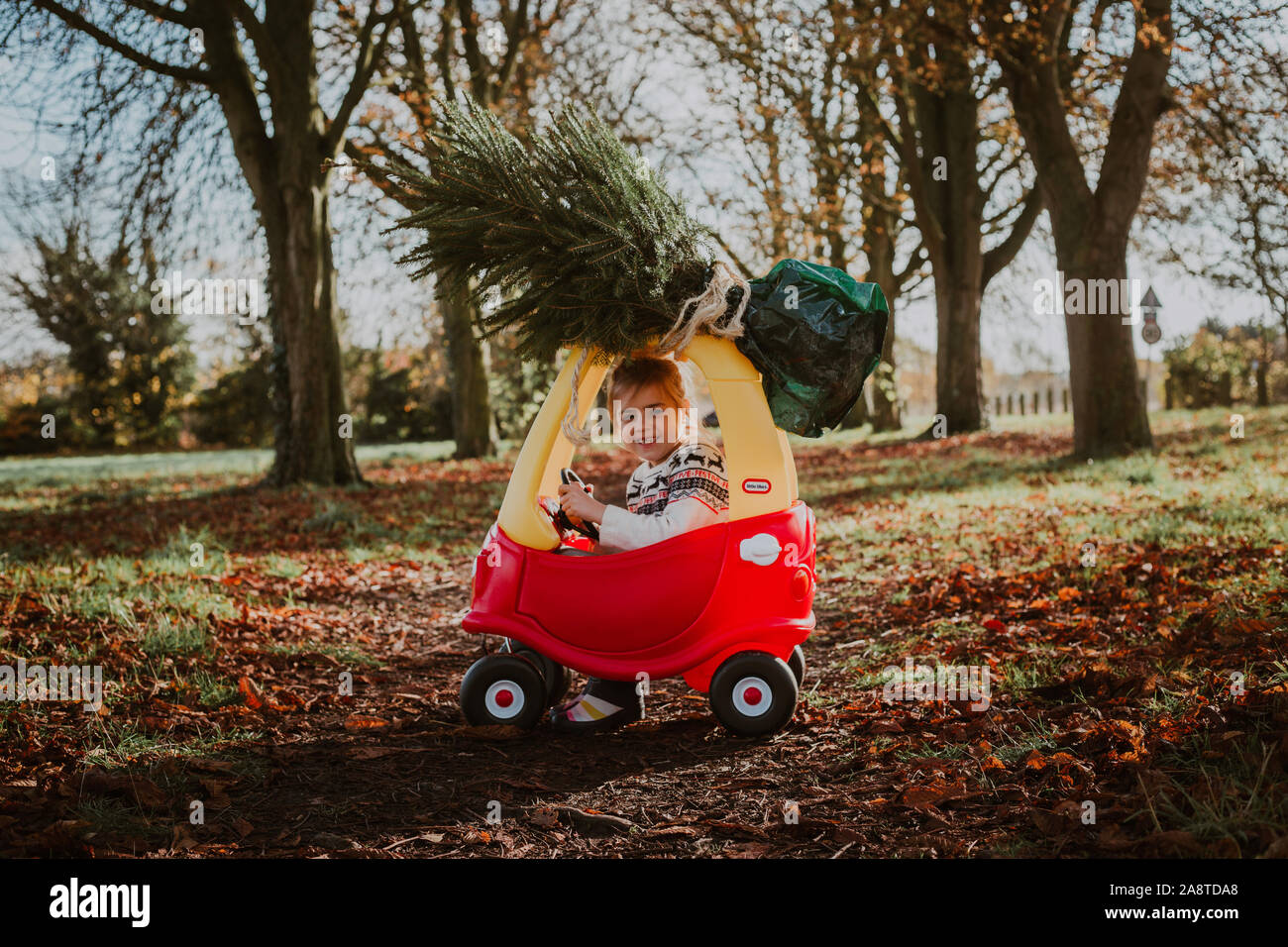 Child driving toy car with christmas tree on top Stock Photo