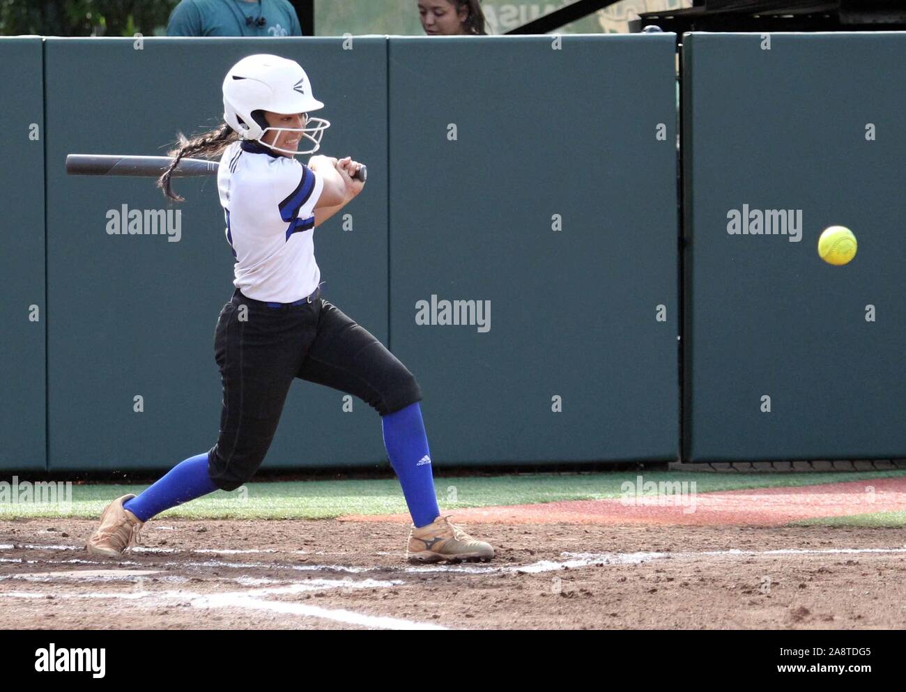 November 10, 2019 - Chaminade Silverswords Kailah Gates-Coyaso #1 hits the ball during a game between the Chaminade Silverswords and the Hawaii Rainbow Warriors at the Rainbow Wahine Softball Stadium on the campus of University of Hawaii at Manoa in Honolulu, HI - Michael Sullivan/CSM. Stock Photo