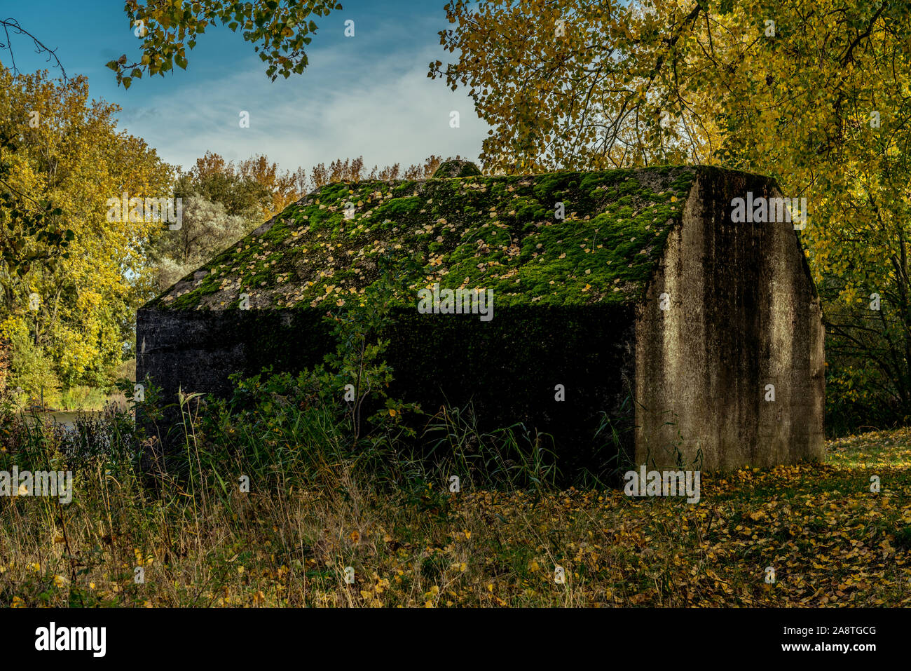 Overgrown Dutch bomb shelter in an autumn scene. This concrete bunker is situated near the village of Dordrecht in the national park the Biesbosch. Stock Photo