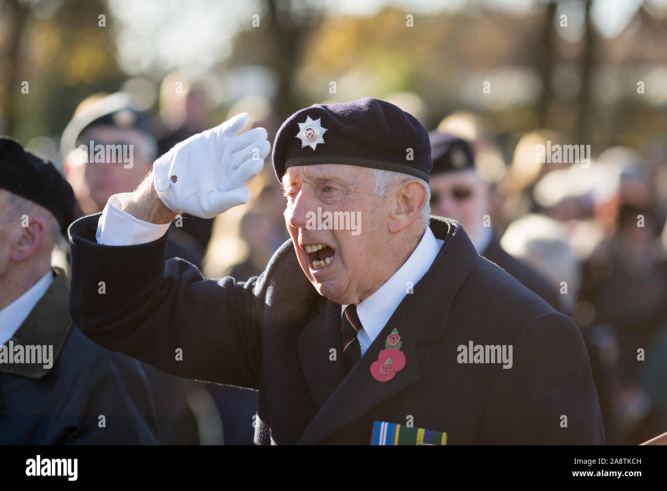 Remembrance Sunday parade and service at Port Sunlight War Memorial, Port Sunlight, Wirral, Merseyside, England Stock Photo