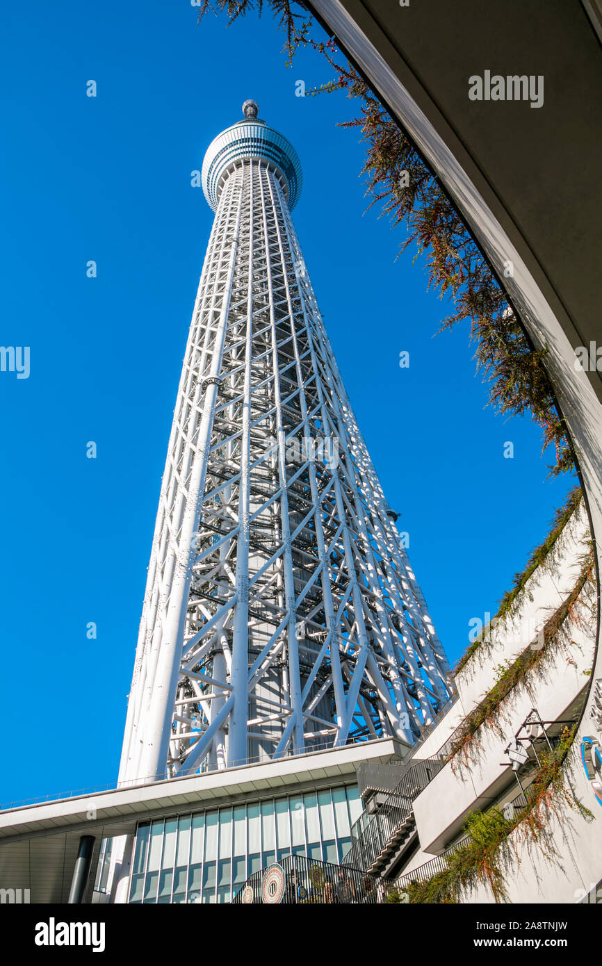 Tokyo Sky Tree. Sumida Neighborhood. Tokyo. Japan Stock Photo