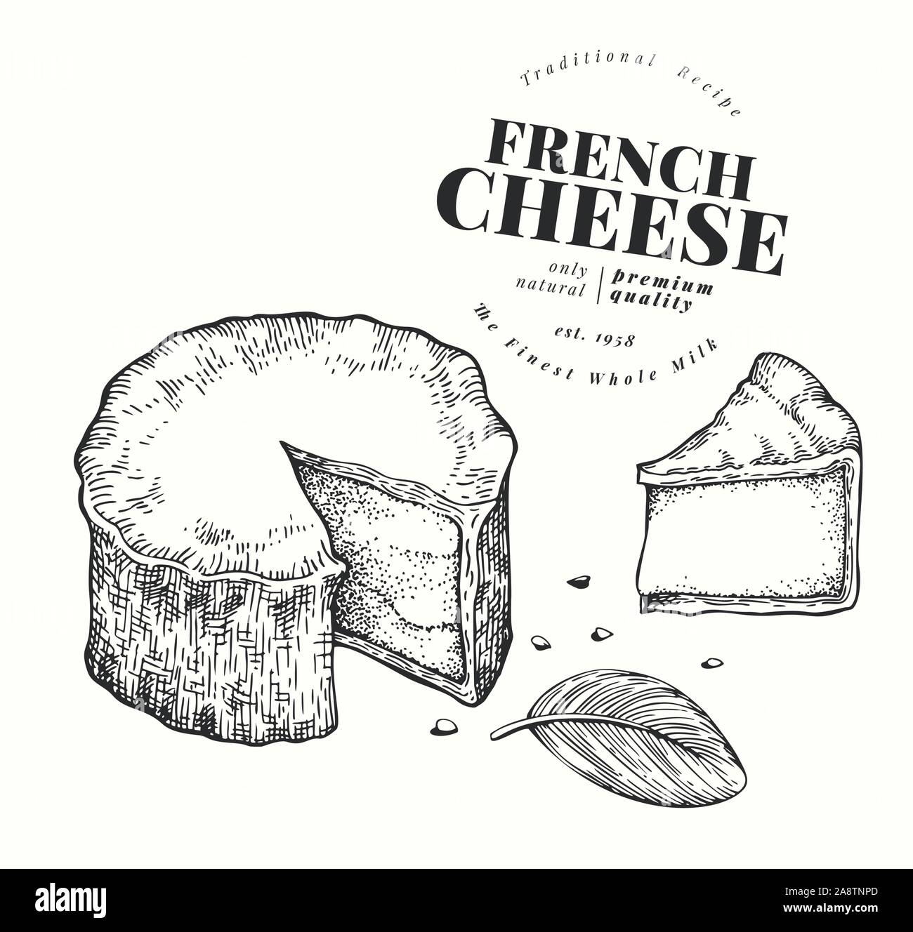 French cheese illustration. Hand drawn vector blue cheese illustration