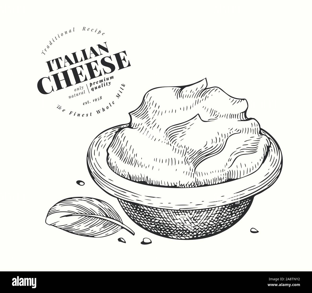 Italian mascarpone illustration. Hand drawn vector dairy illustration. Engraved style cream