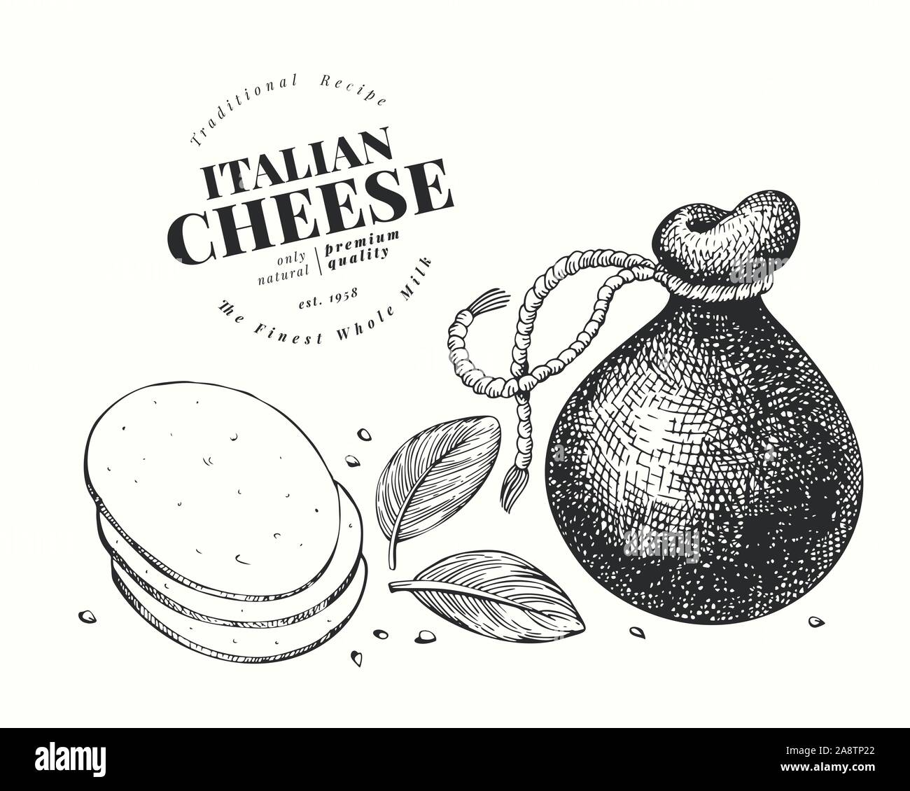 Italian cheese illustration. Hand drawn vector dairy illustration