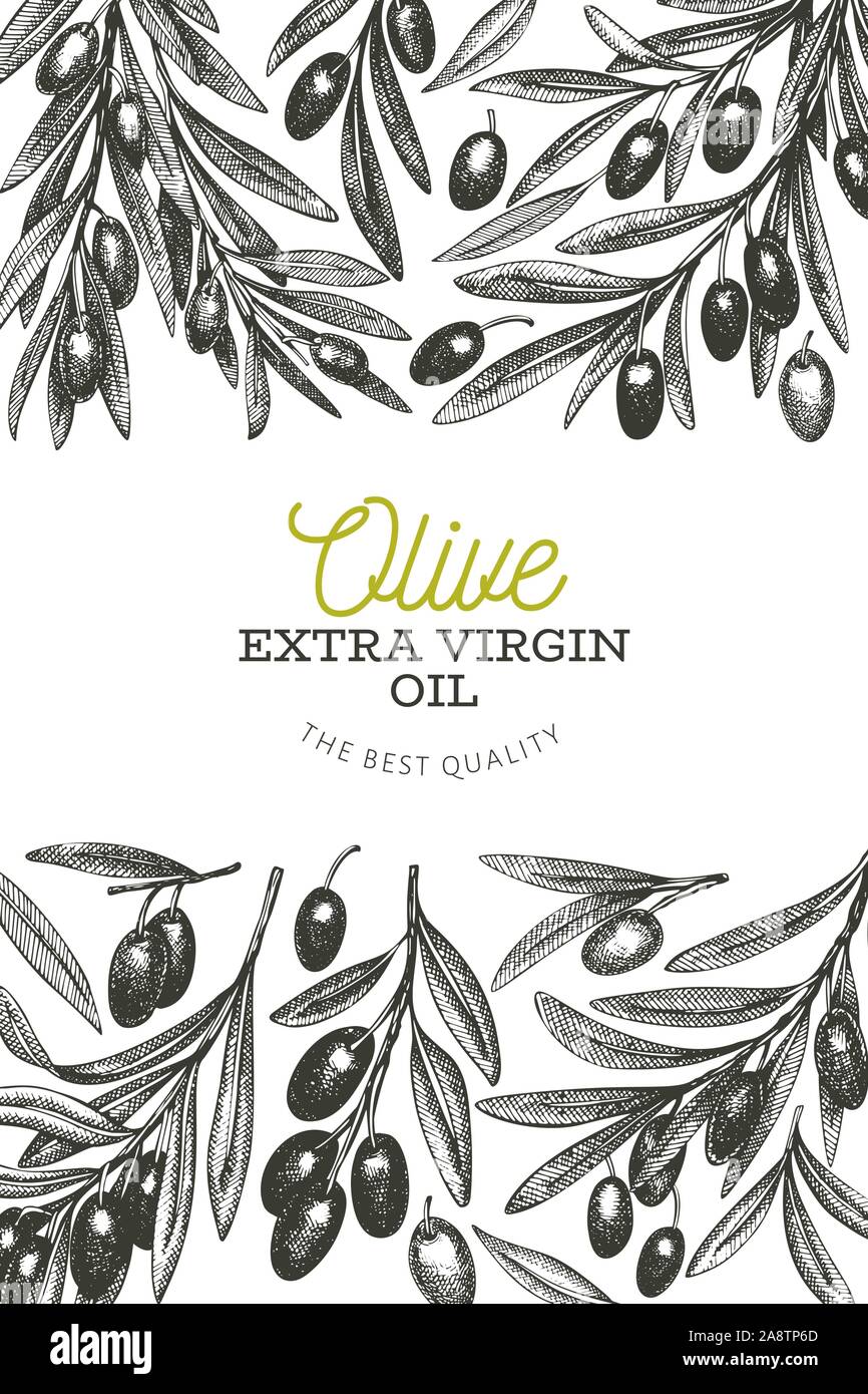 Olive branch design template. Hand drawn vector food illustration ...