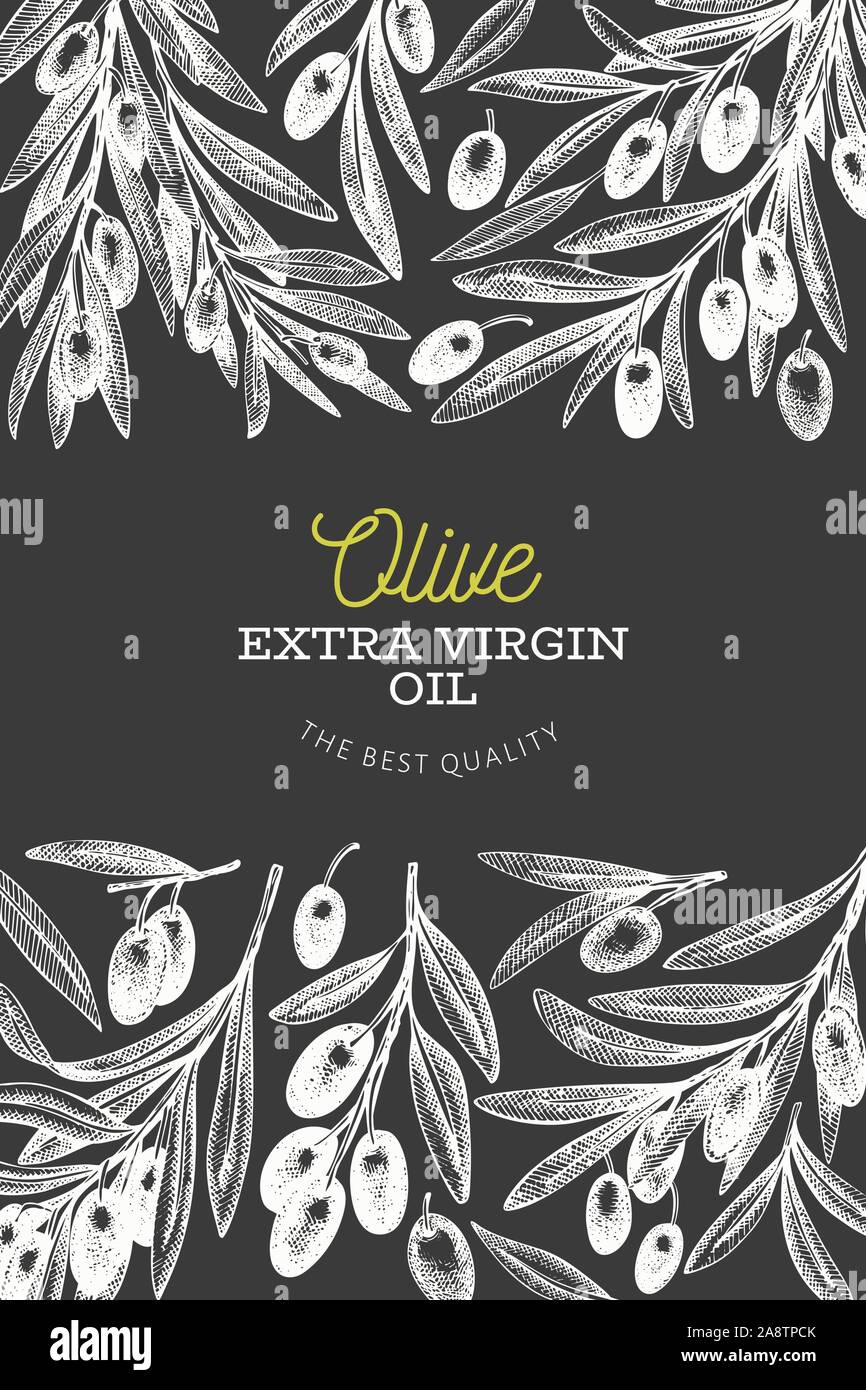 Olive branch design template. Hand drawn vector food illustration on ...