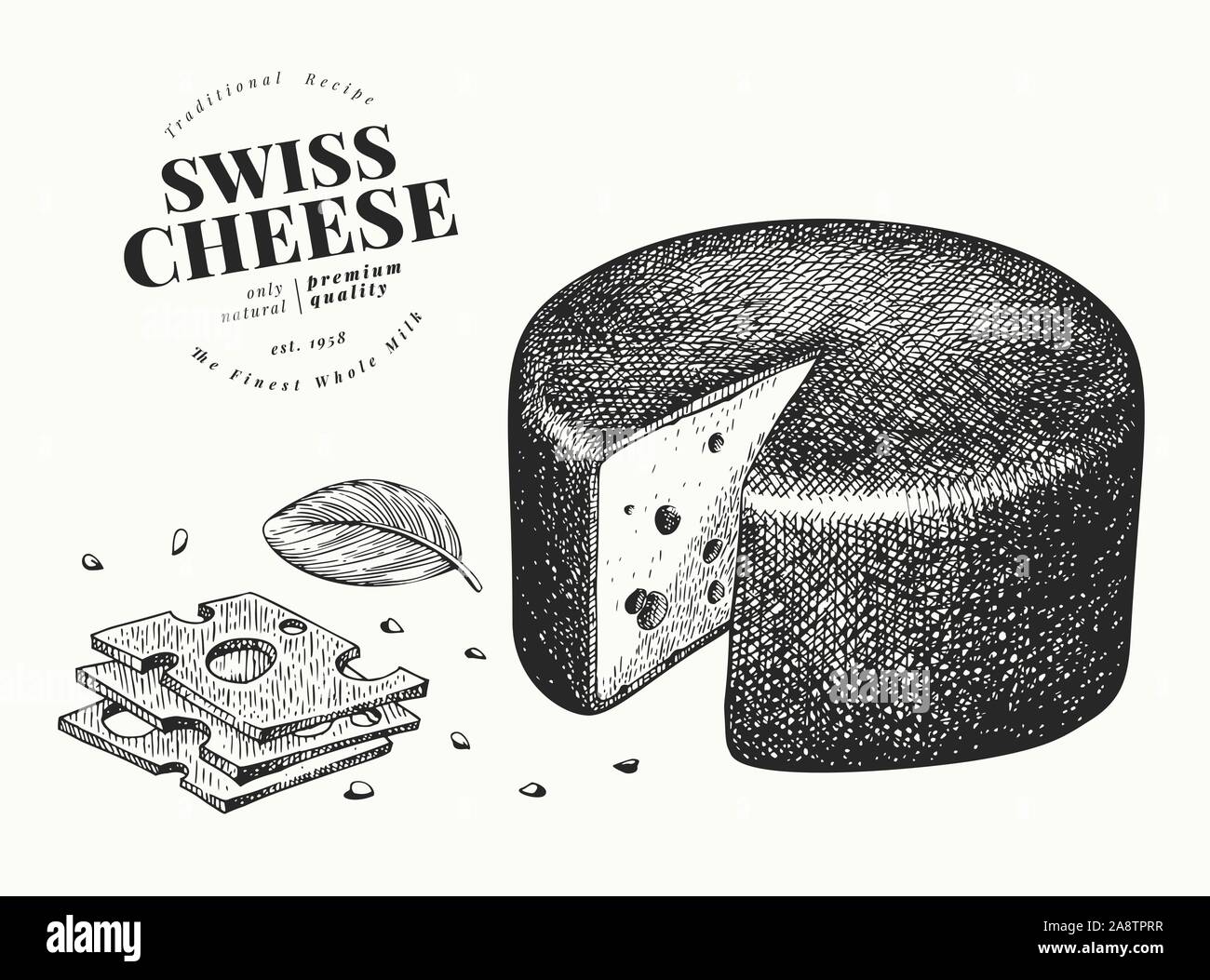 Swiss cheese illustration. Hand drawn vector dairy illustration