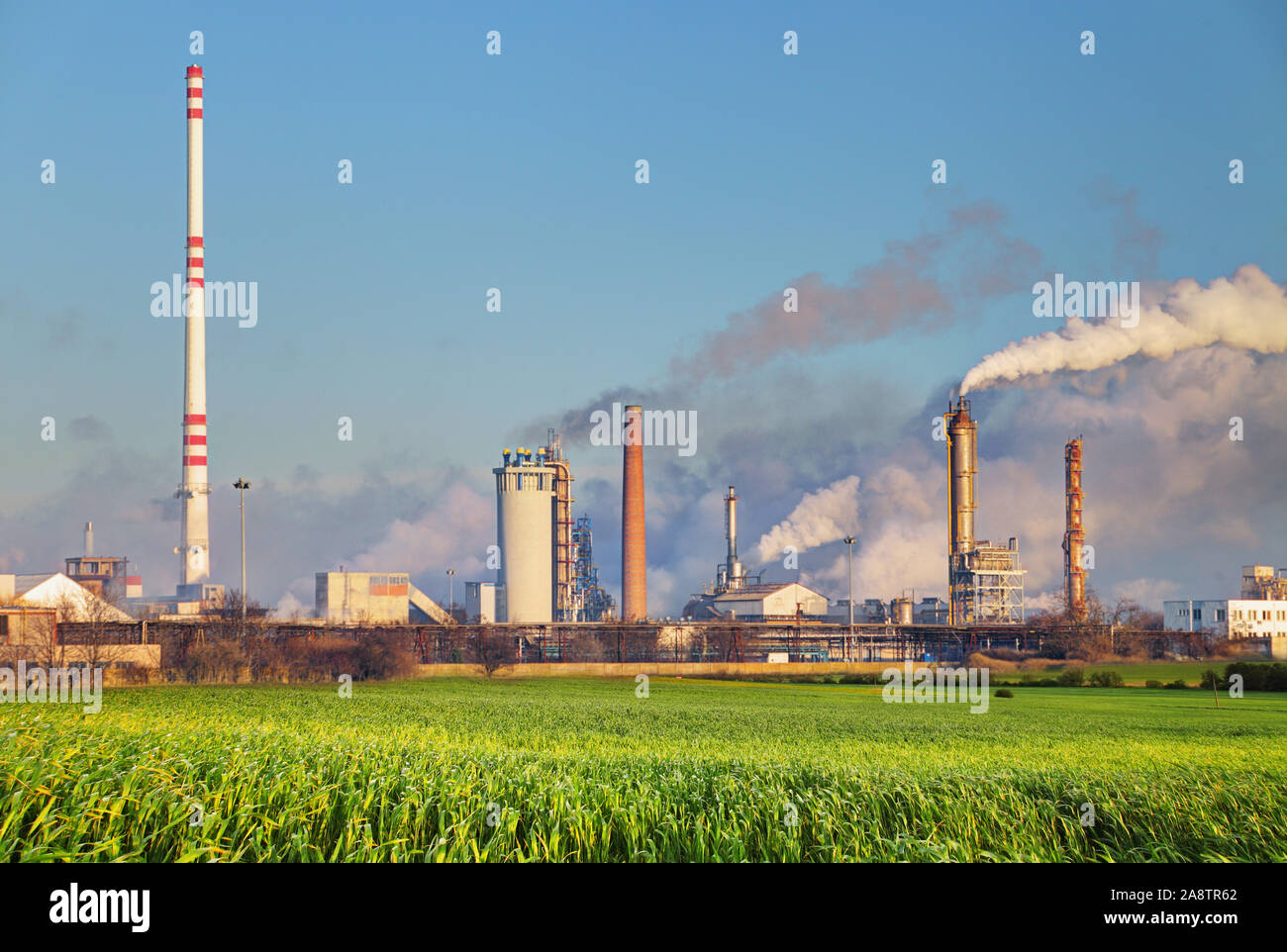Oil refinery with vapor - petrochemical industry. Stock Photo