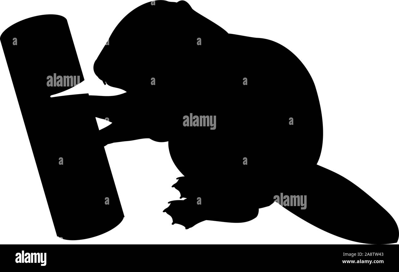 Silhouette of little cub baby beaver gnawing log. Vector illustrator Stock Vector