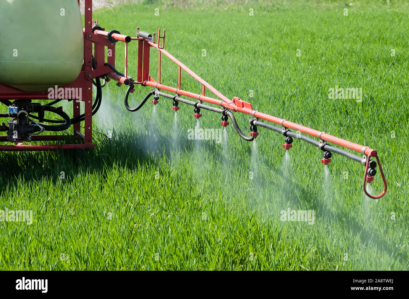 Tractor spraying herbicide over wheat field with sprayer. Agriculture, farming, GMO, pollution, contamination and environment concepts Stock Photo