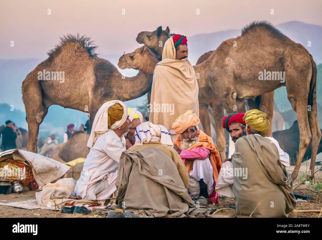 A group of Rajasthani camel herders sitting in their temporary desert camp at dawn, during the Pushkar Camel Fair in Rajasthan, India. Stock Photo