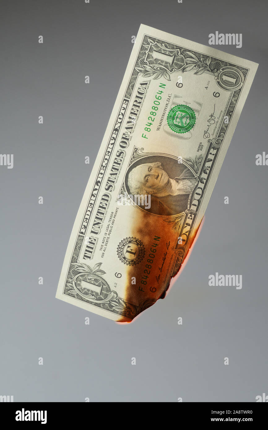 One US Dollar banknote burning in flames isolated on grey background Stock Photo
